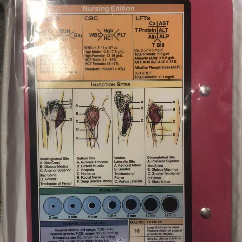 nursing edition clipboard 1 pc purple or pink random color